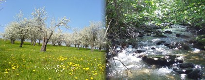 Schwarzwald Impressionen